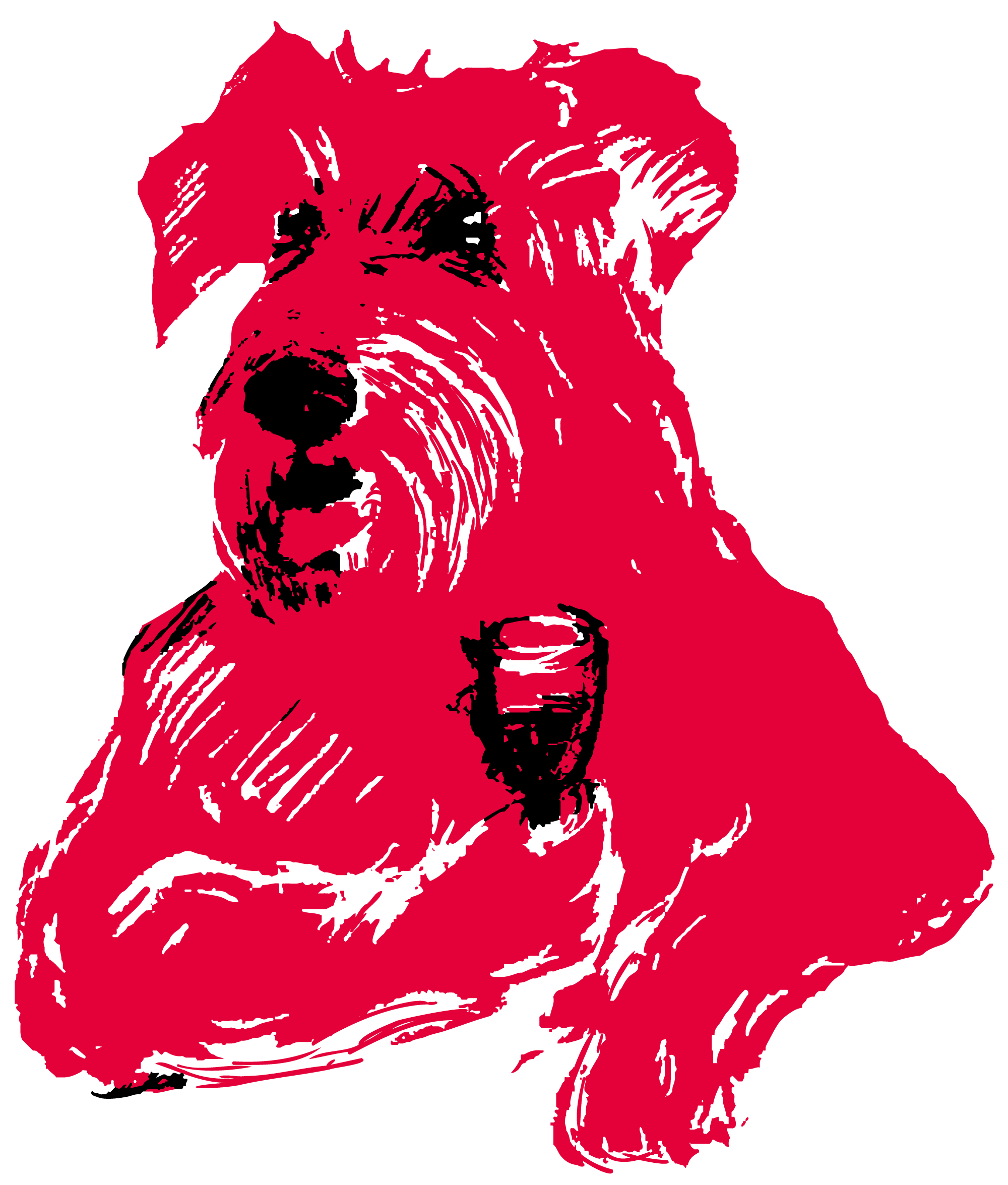 Frey Schnauze